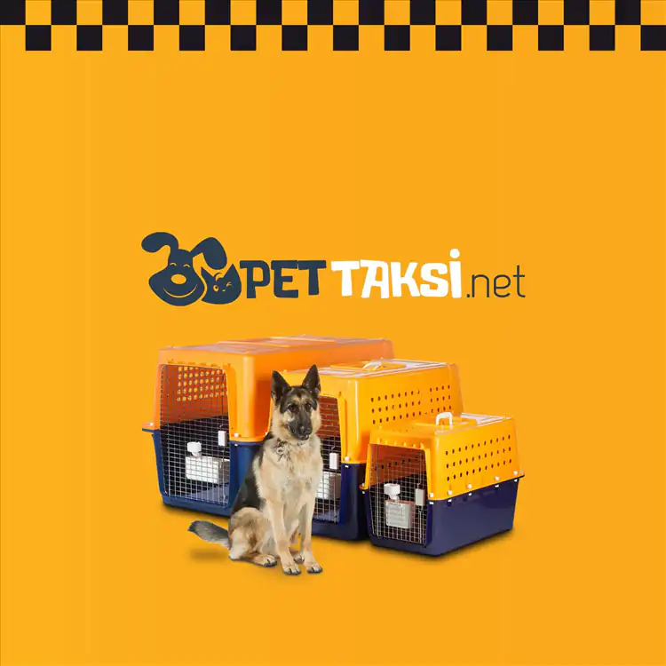 Müşterilerimize Özel Pet Taksi Hizmeti
