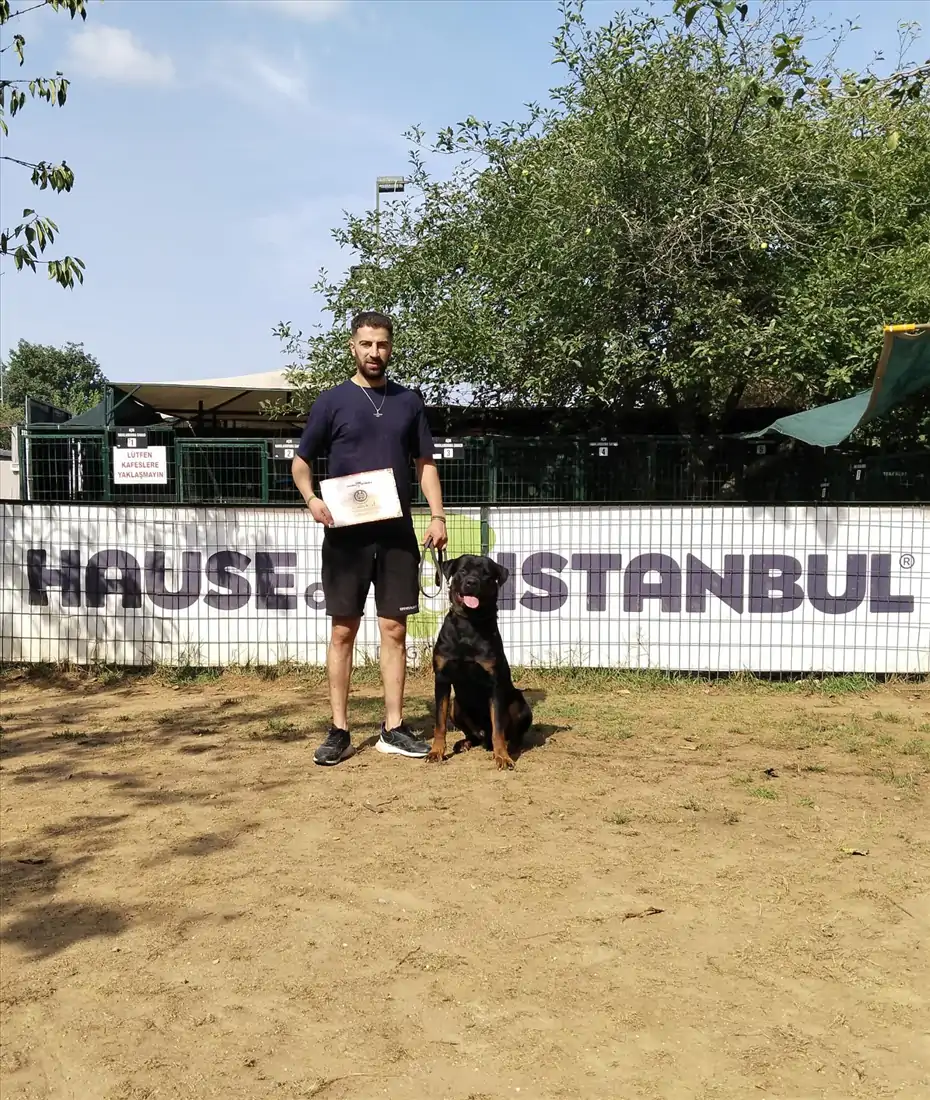 Köpeklerde Temel itaat Egitimi ve Sonrasi